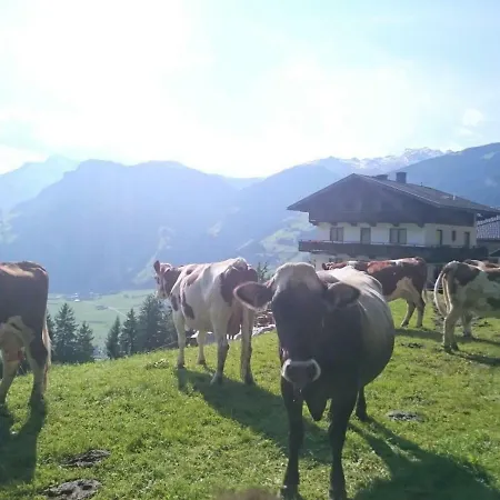 Saibatenhof Chalet *