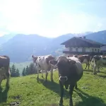 Saibatenhof Chalet *